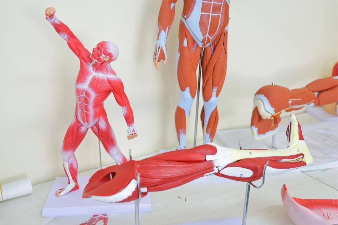 Medical Classroom Setup
